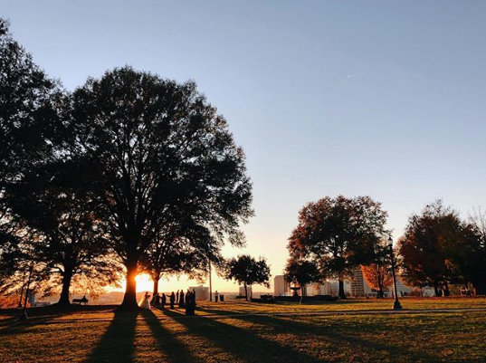 Ed 80: Tacos, Tacky Lights, Top Events