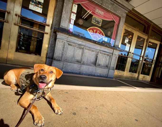 Ed 92: Development, Wine, Season passes