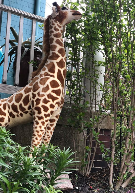 Ed 99: Chocolate, Cocktails, Cycling