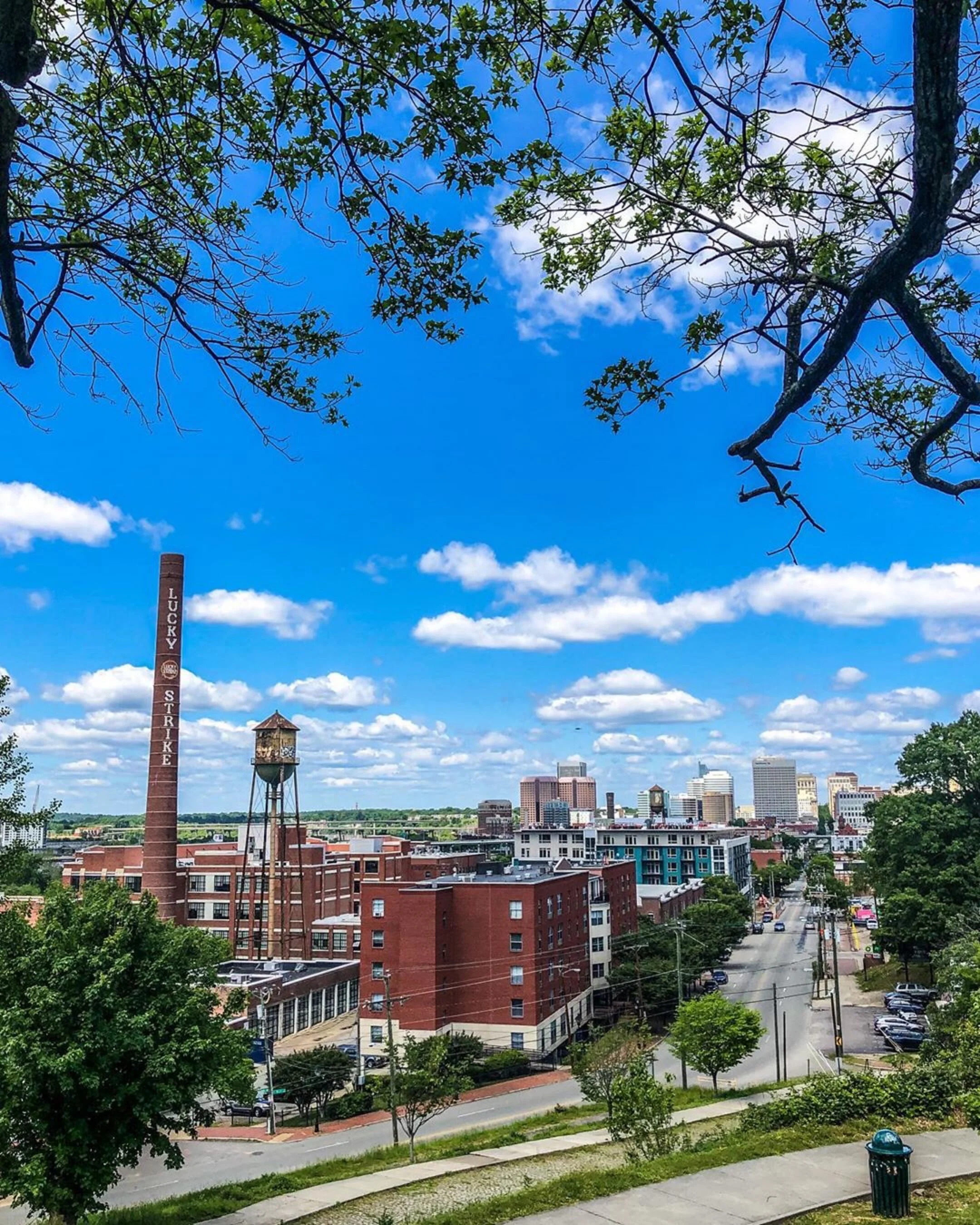 Ed 104: Soft Serve, Scooters, Drive-Thru Zoo