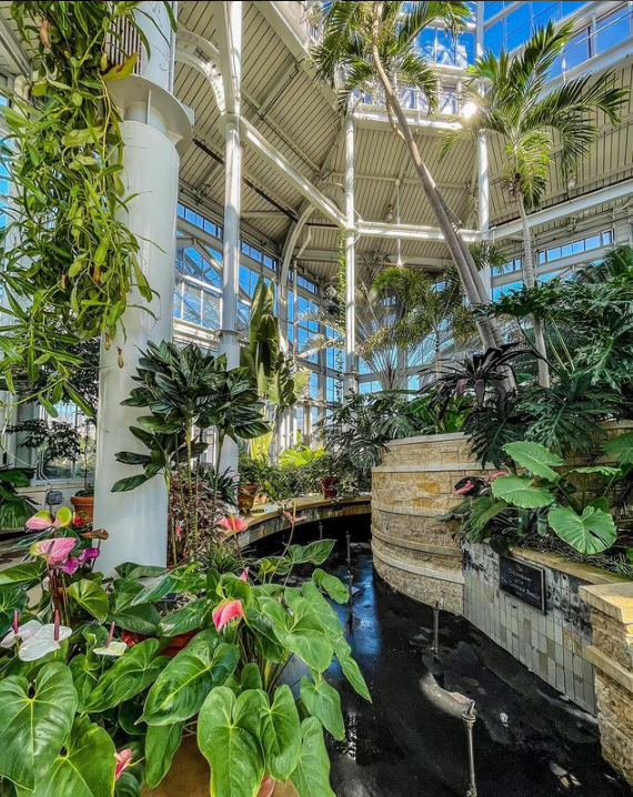 Ed 169: Beer Garden Beach Party, Adventure Cards, Birthday Cake