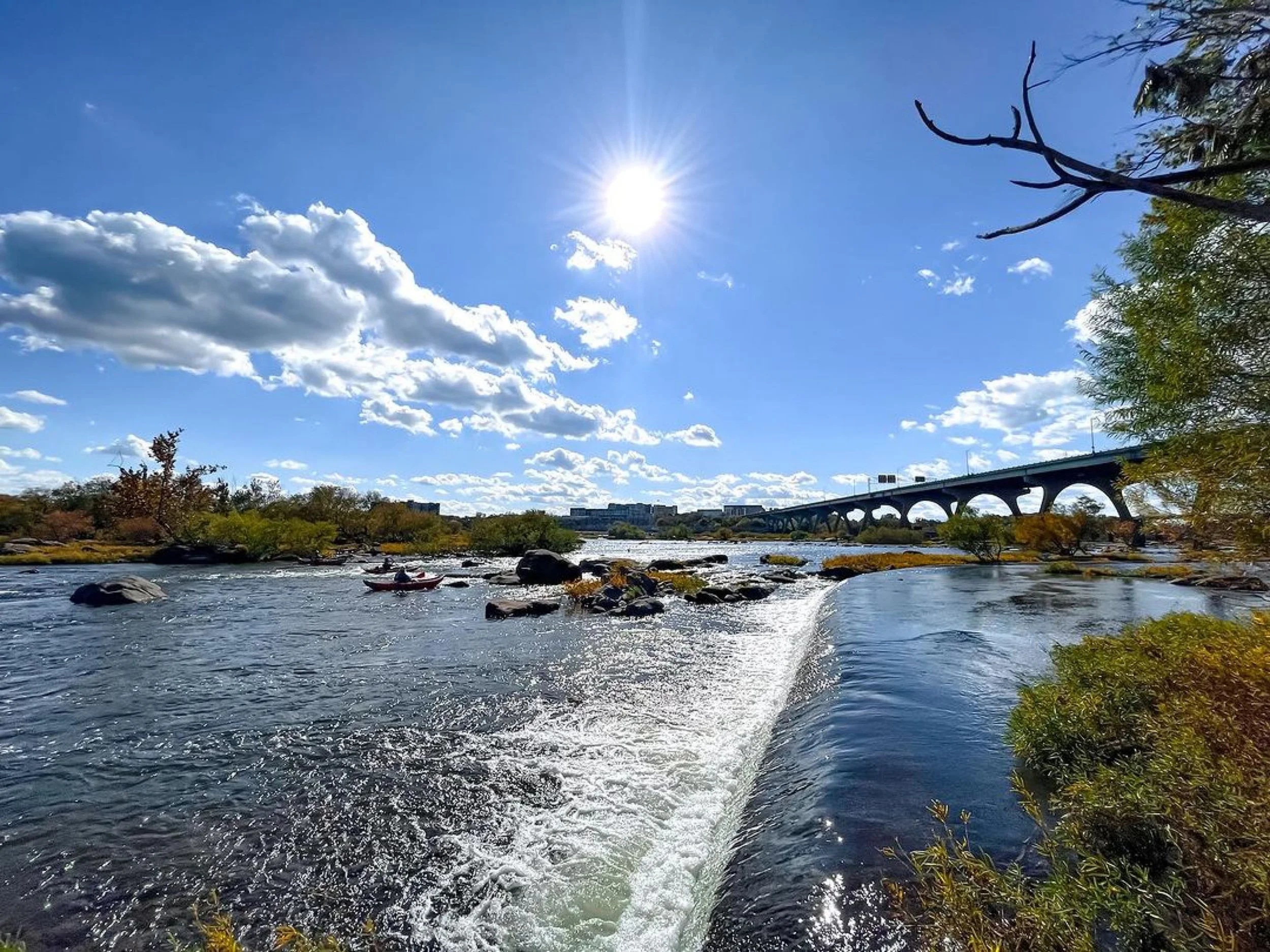 Ed 282: Blistered Shishitos, Glow Sticks, Thanksgiving Dinner