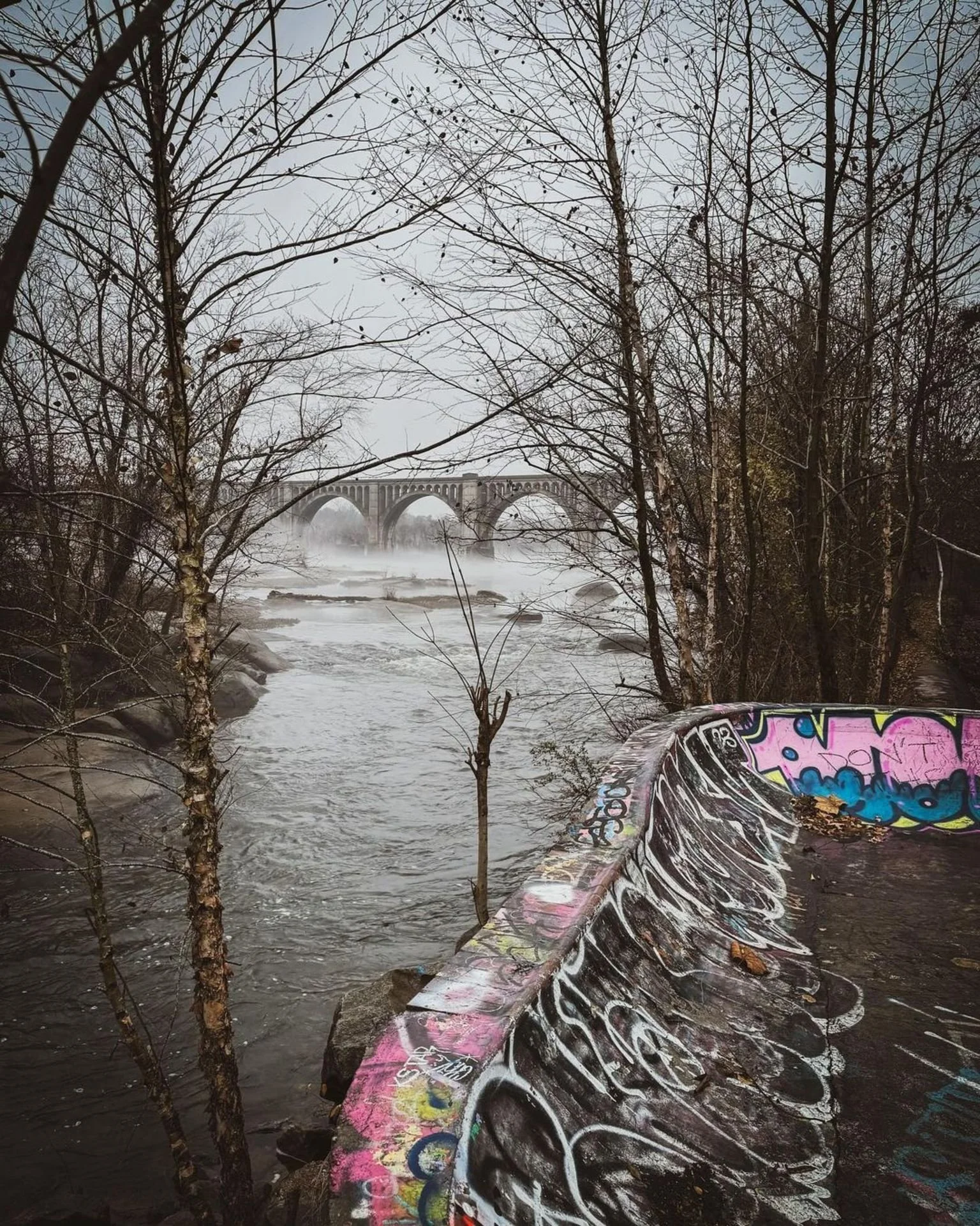 Ed 288: The Juice Bar, Local Nonprofits, Virginia Sports