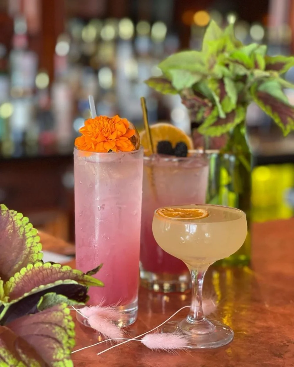 7 Local Places to Grab a Non-Alcoholic Beverage