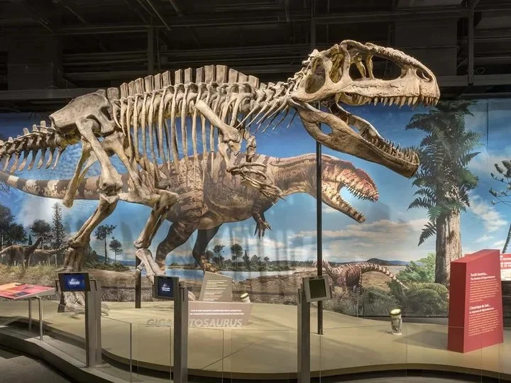 Where the Friends Characters Would Be Regulars in Richmond