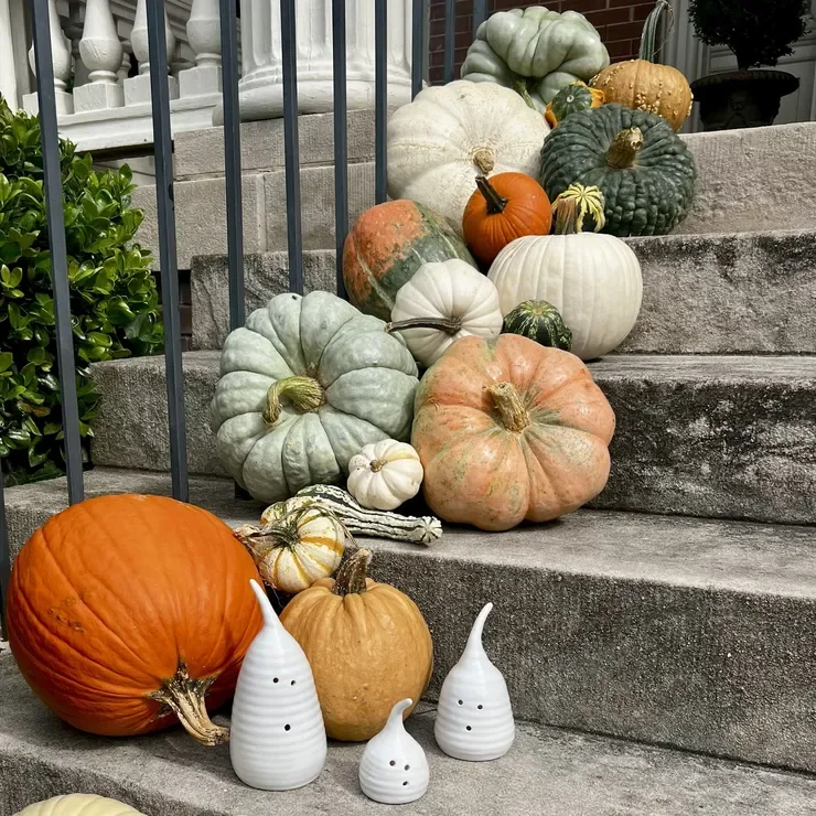 Things We're Way Loving Right Now: October 2025