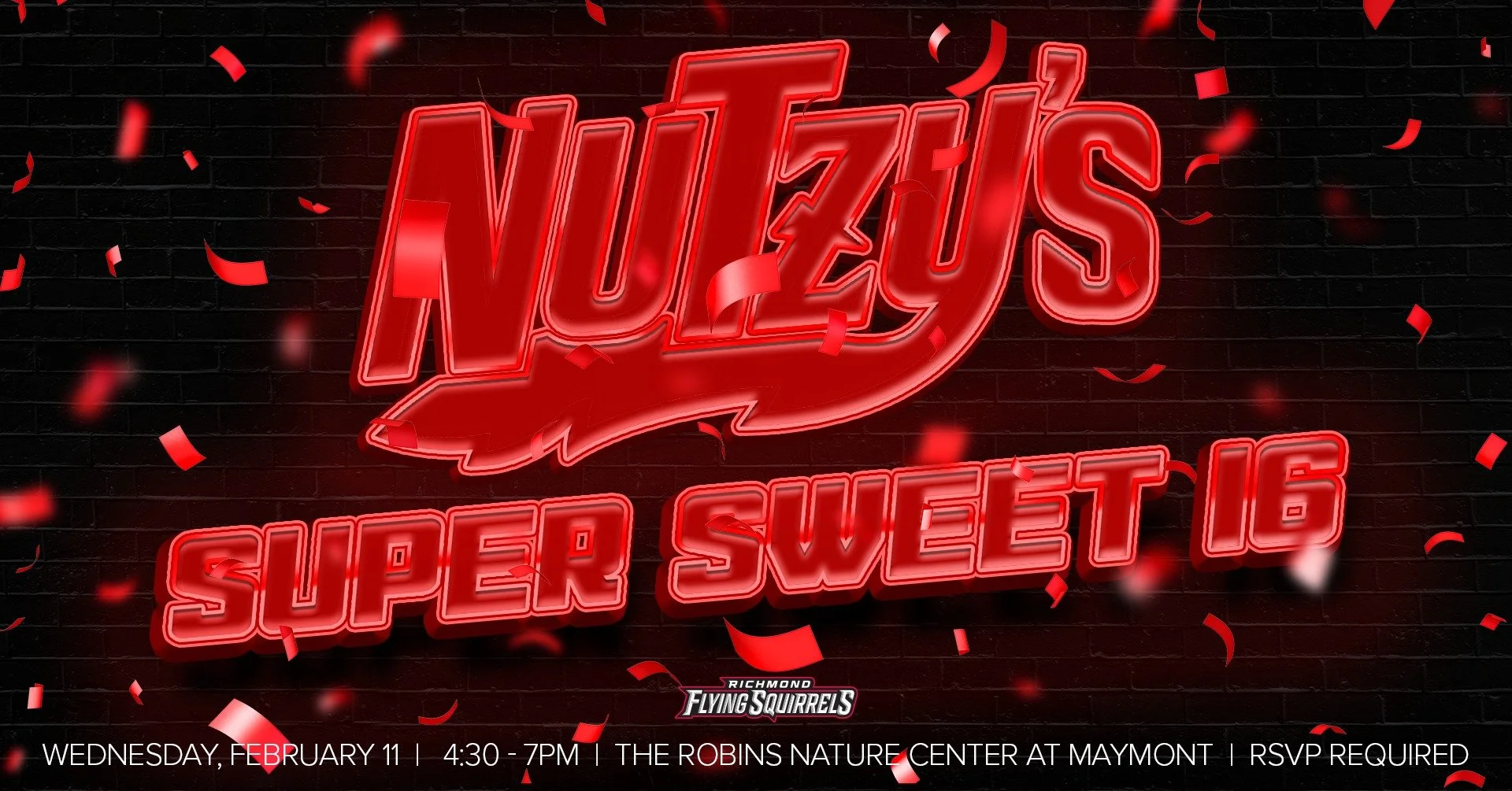 Nutzy's Super Sweet 16 Birthday Party