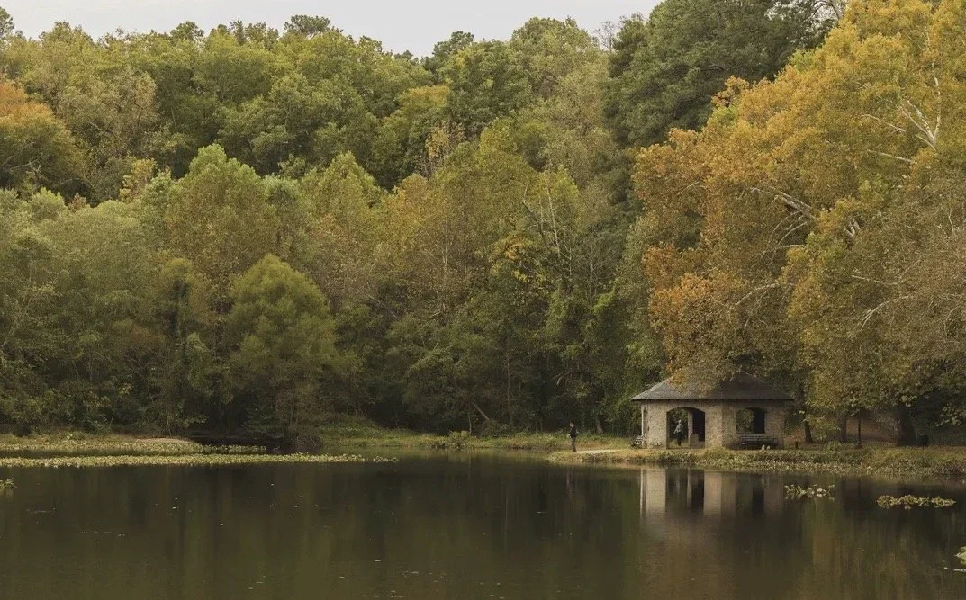 Ed 391: Slow Snow Clearing, Valentine Celebrations, RVA Pro Wrestling