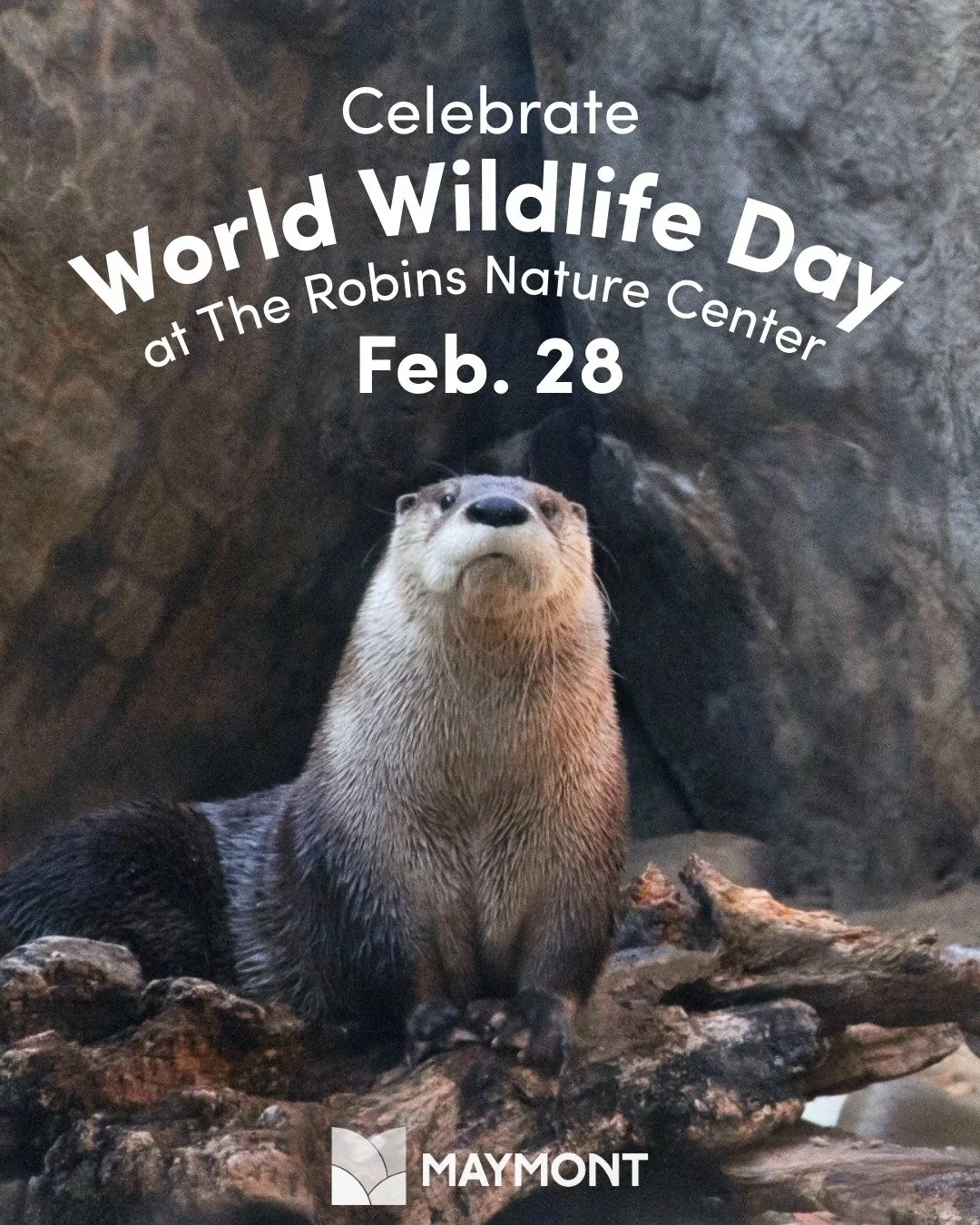 World Wildlife Day at Maymont