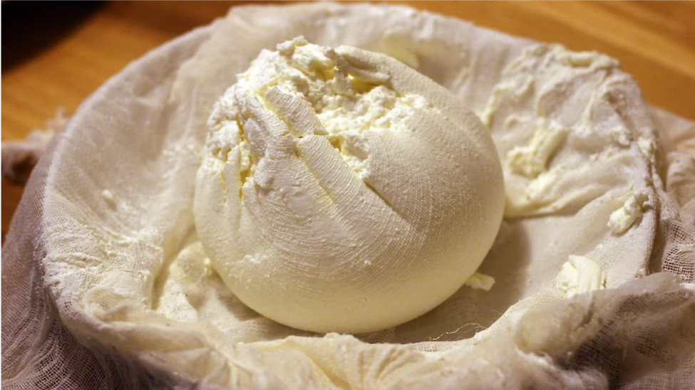 Cheesemaking 101: Workshop with Rebecca Suerdieck