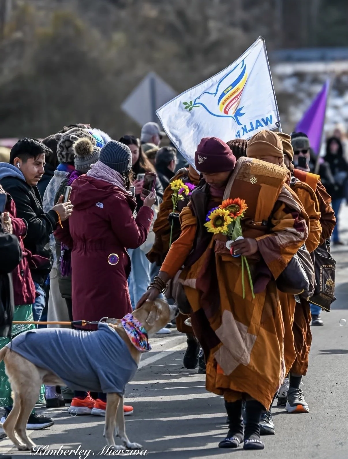 Ed 392: Super Bowl Fashion, Ice Cream for Breakfast, Historical Fiction