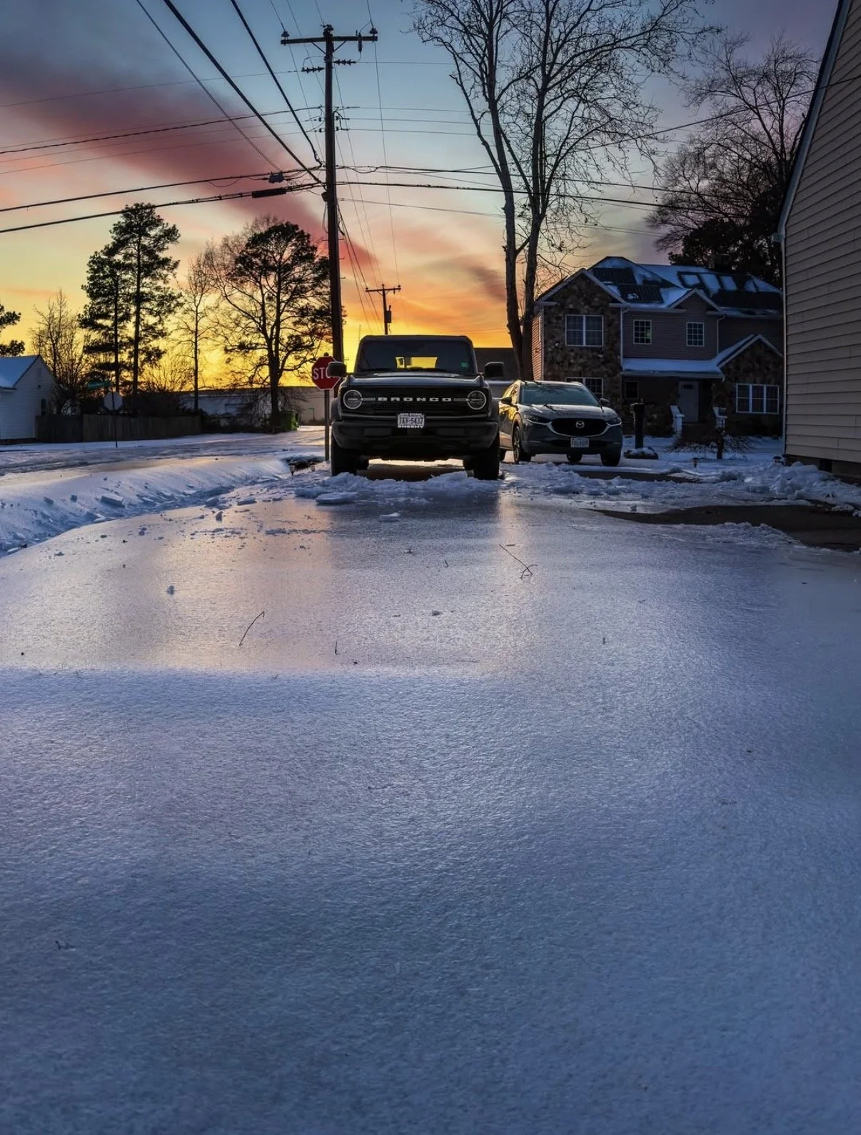 Ed 393: Camp Friendship, Postcard Mural, Vicious Biscuit