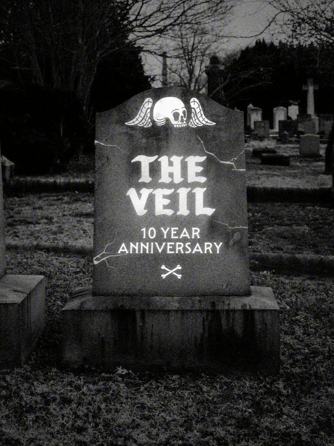 The Veil’s 10th Anniversary Celebration!