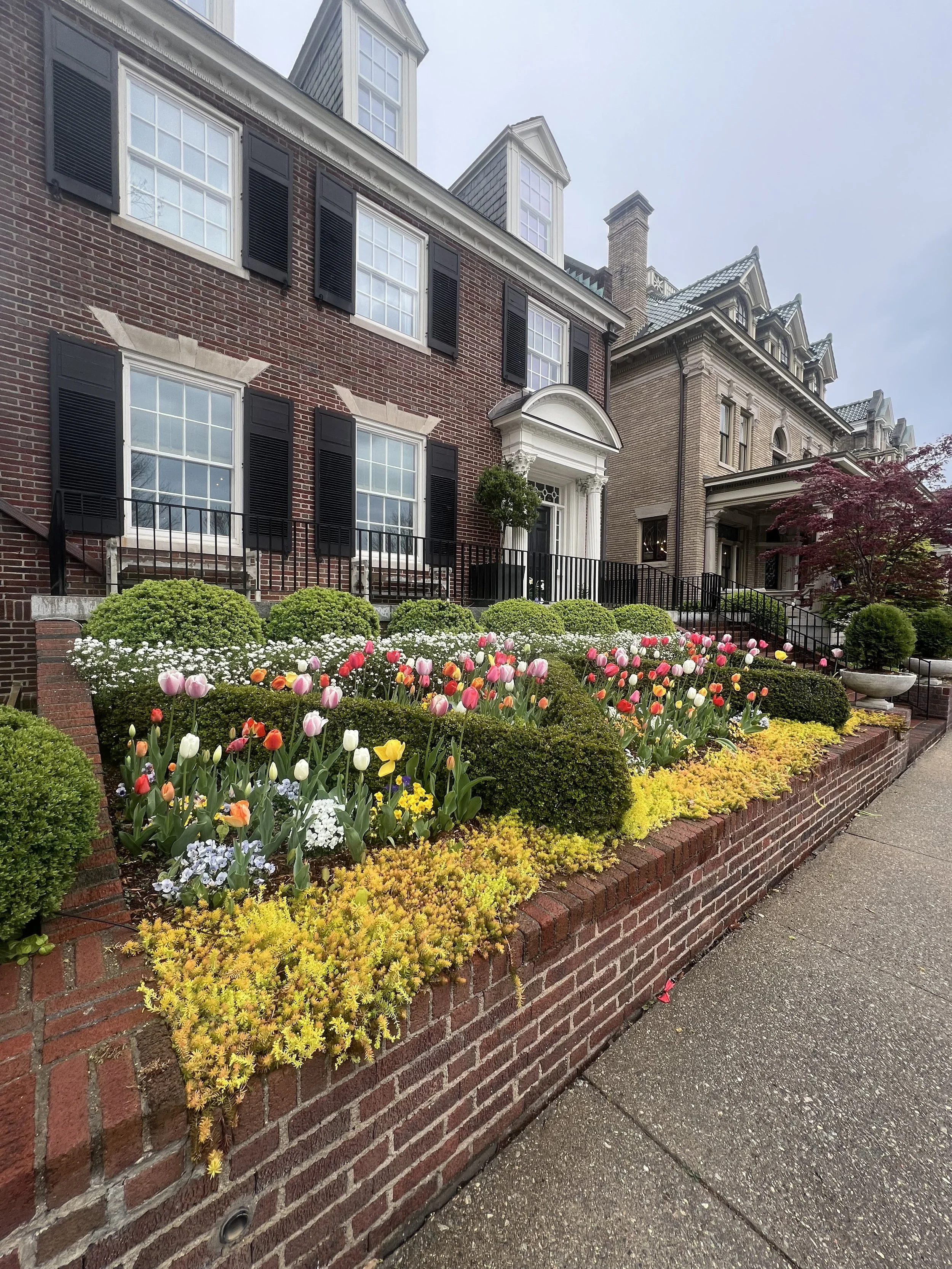 Ed 398: Converted Church Condo, Floral Cafe, Fringe Fest Happenings