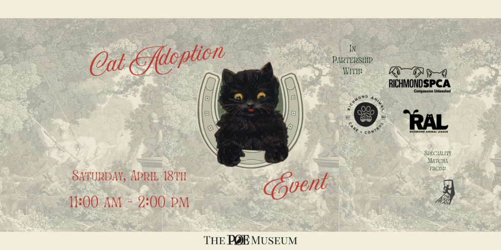 Cat Adoption Event 2026