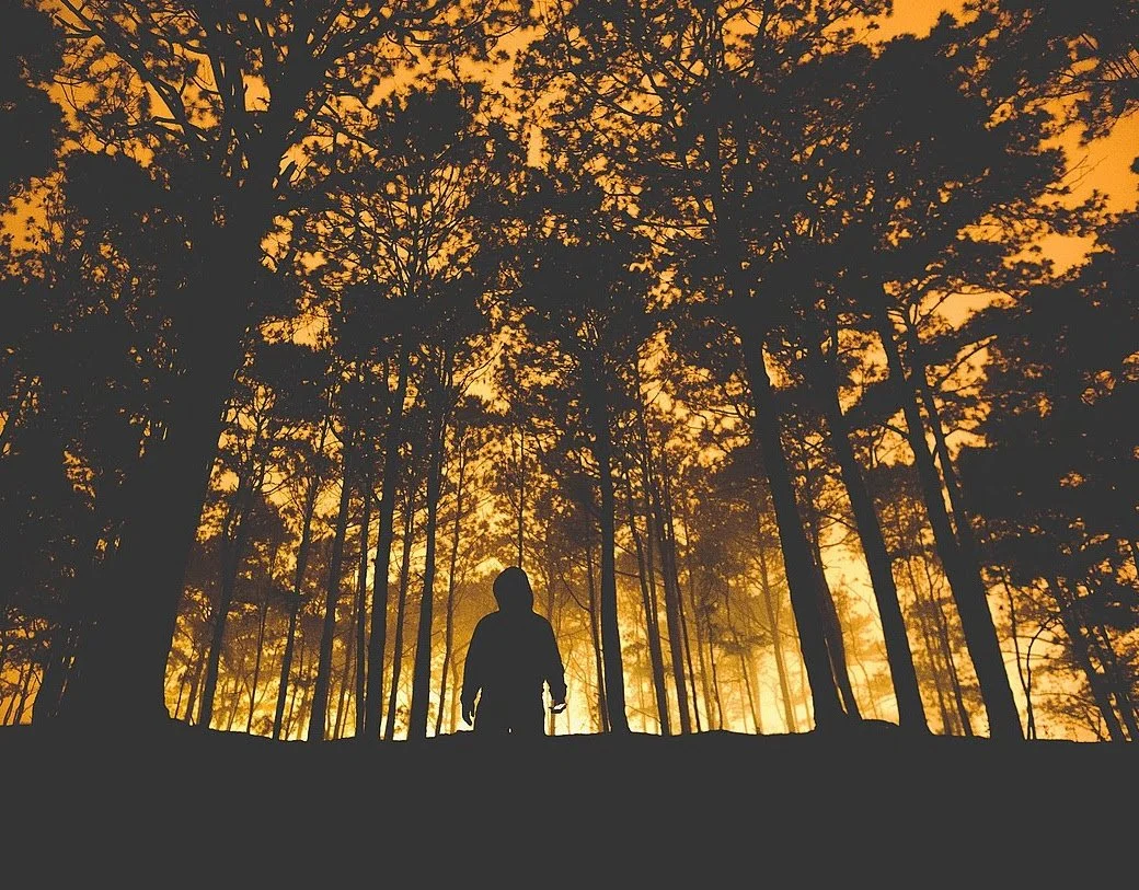 Profs &amp; Pints Richmond: Venturing into Eco-Horror