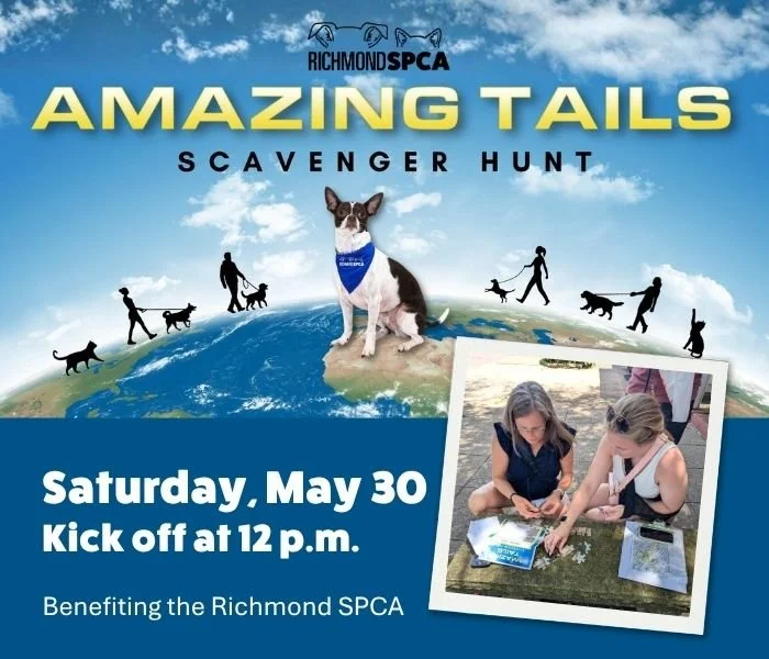 Amazing Tails Scavenger Hunt