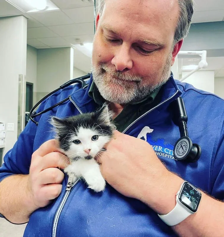 10+ Ways to Pamper Your Pet in Richmond