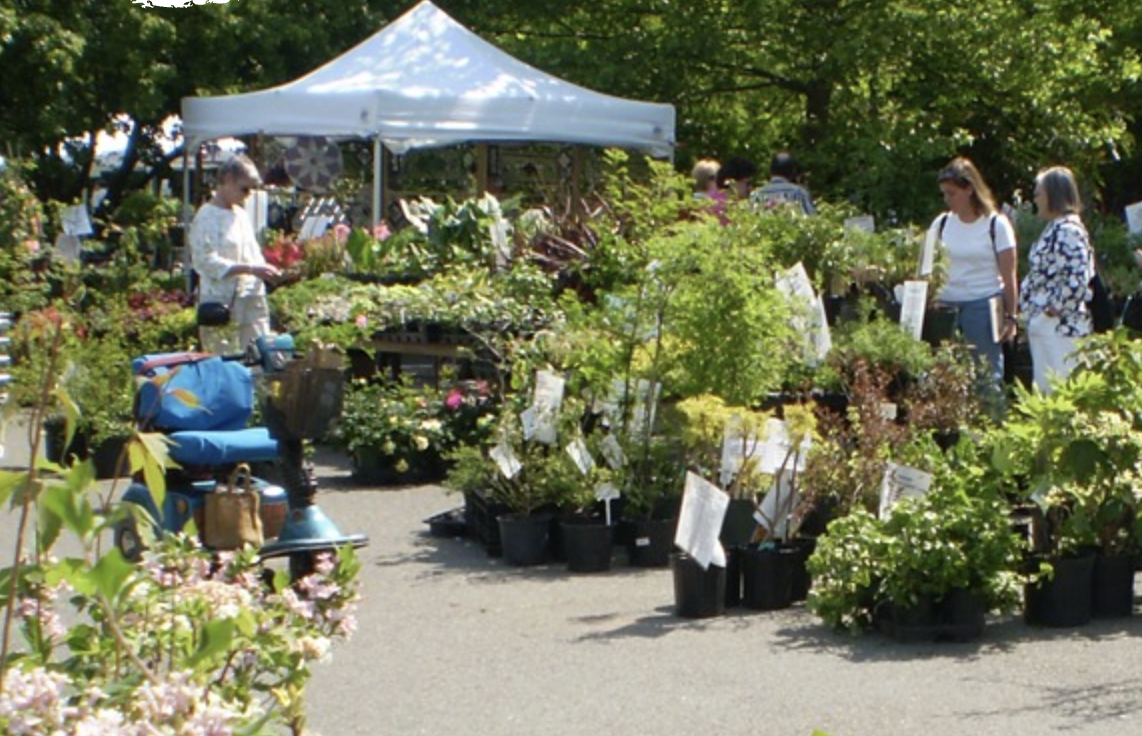 LEWIS GINTER SPRING PLANT SALE