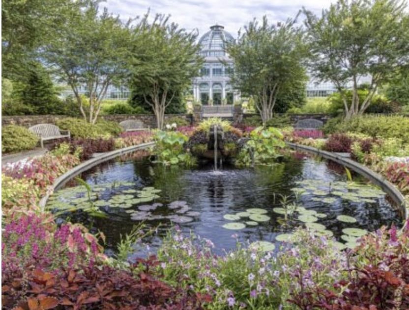 CONSERVATORY AND GARDEN EXPANSION GRAND RE-OPENING!