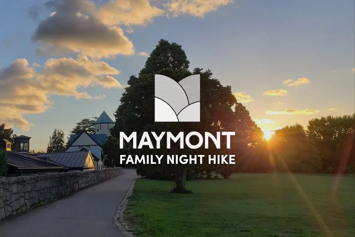 Family Night Hike