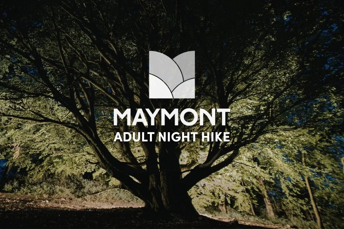 Adult Night Hike (21+)