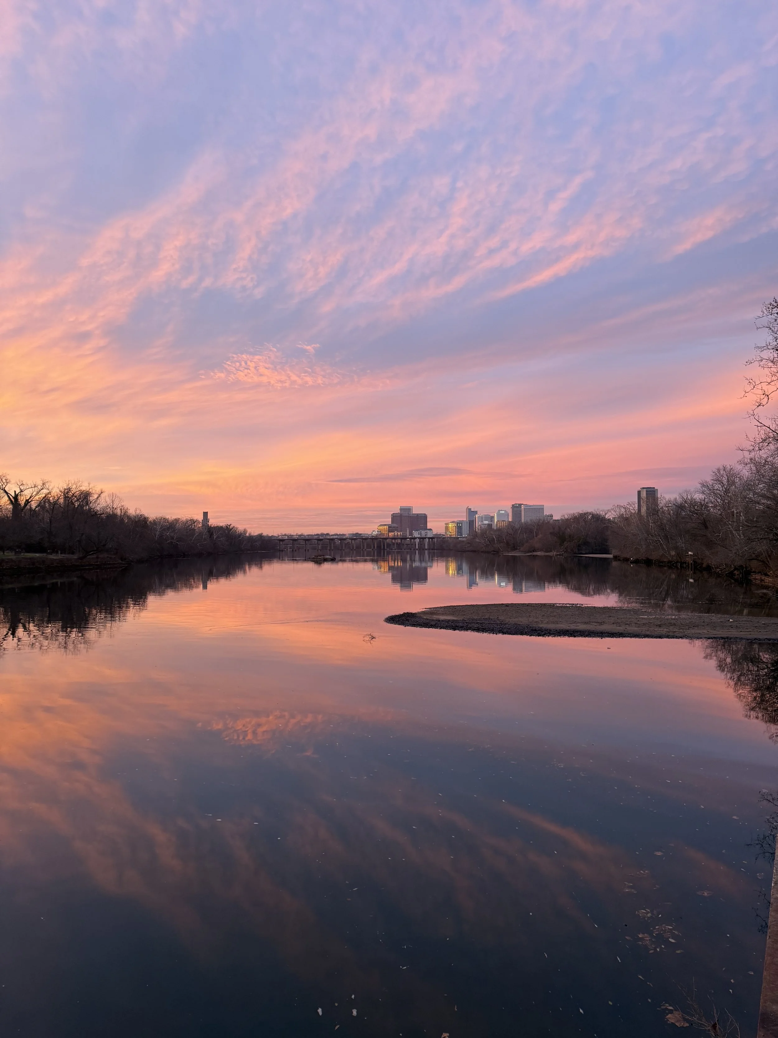 Ed 407: Caribbean Eats, fare-free bus service, New Rooftop Bar