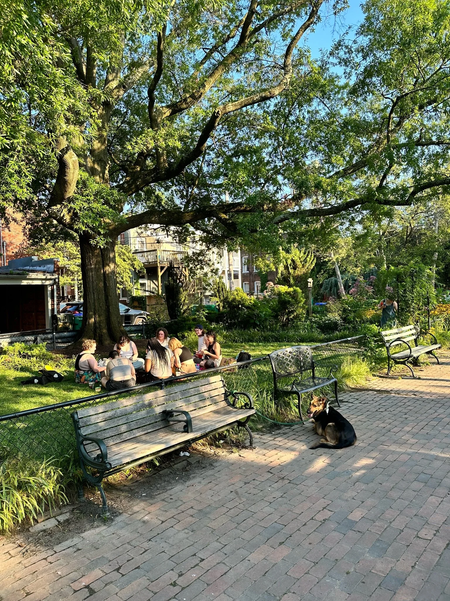 The Ultimate Guide to Richmond's Parks, Playgrounds &amp; Green Spaces