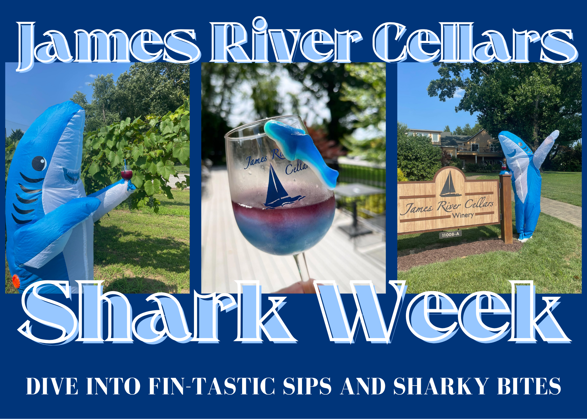 Shark Week | July 6th – 13th