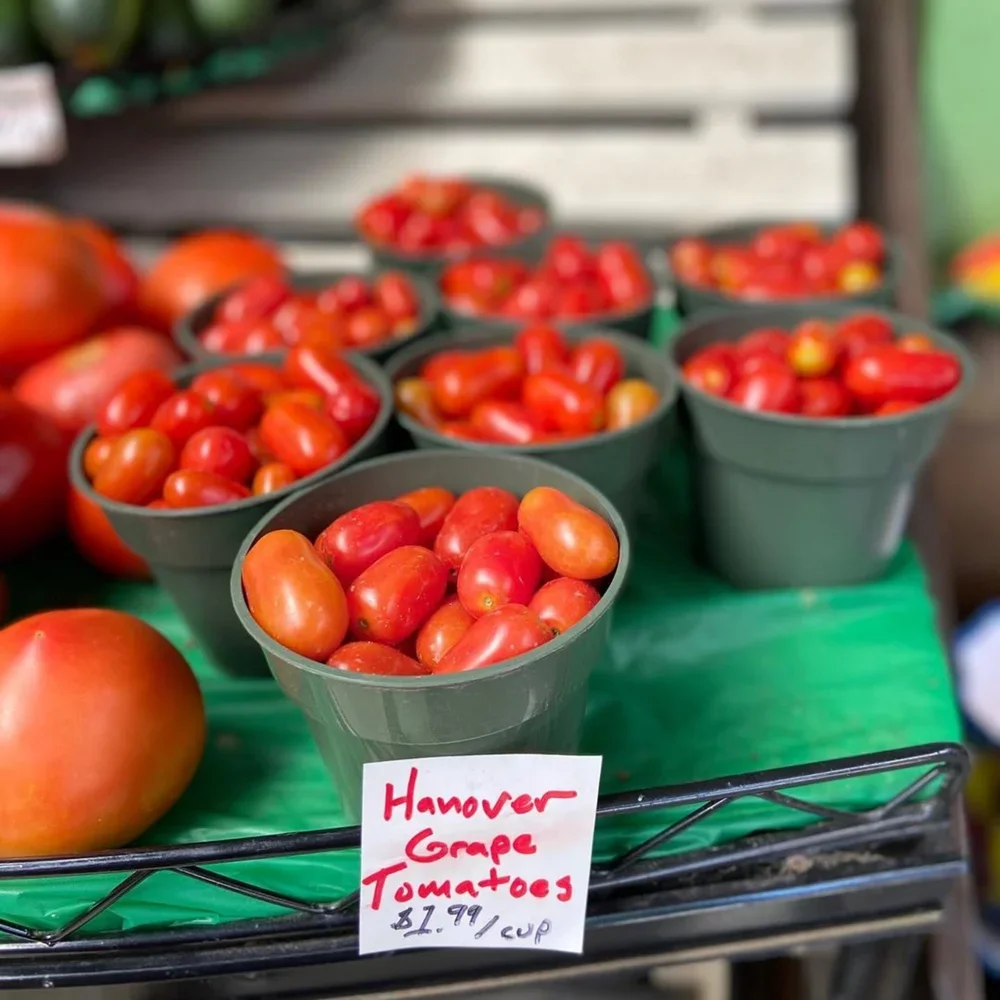 10 Nearby Farms Where You Can Pick Your Own Produce