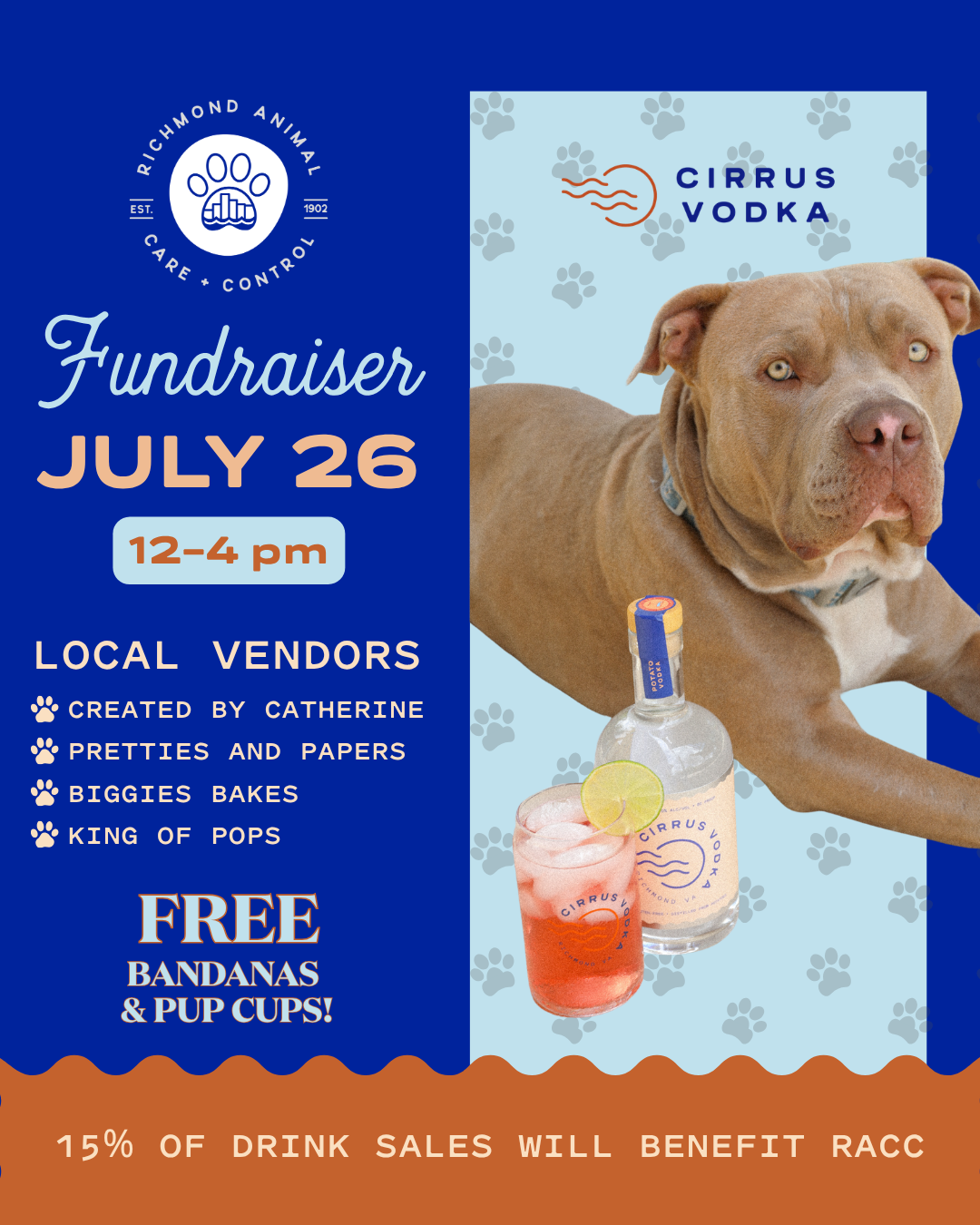 DRINK FOR A CAUSE at Cirrus Vodka