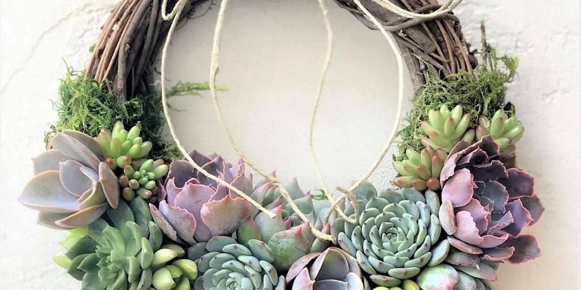 Living Succulent Wreath