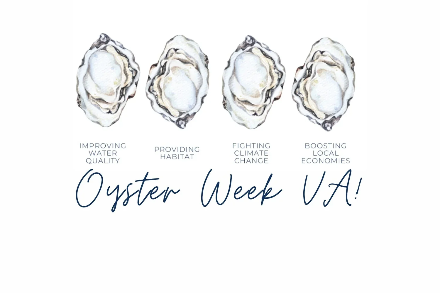Oyster Week VA
