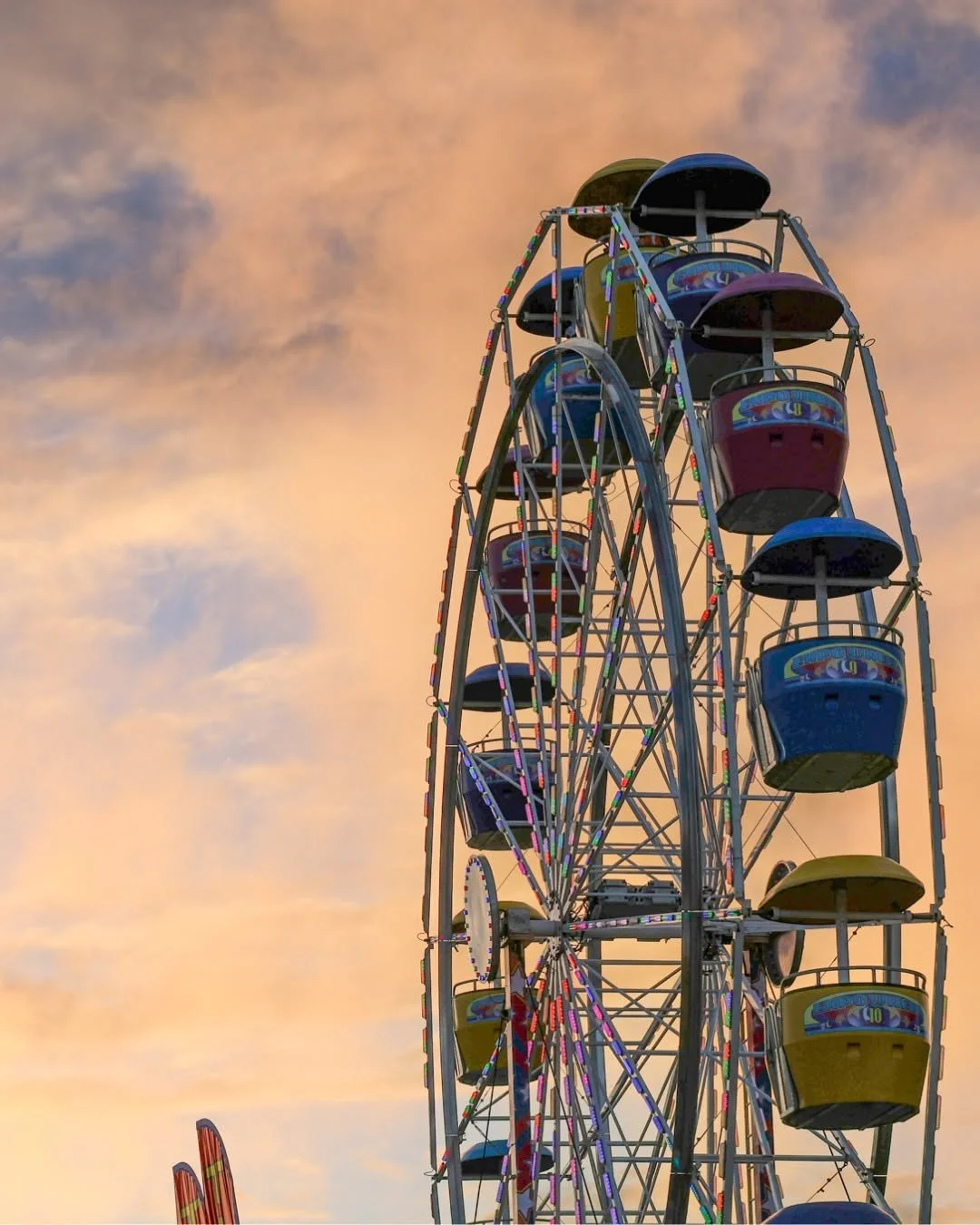 State Fair of Virginia 