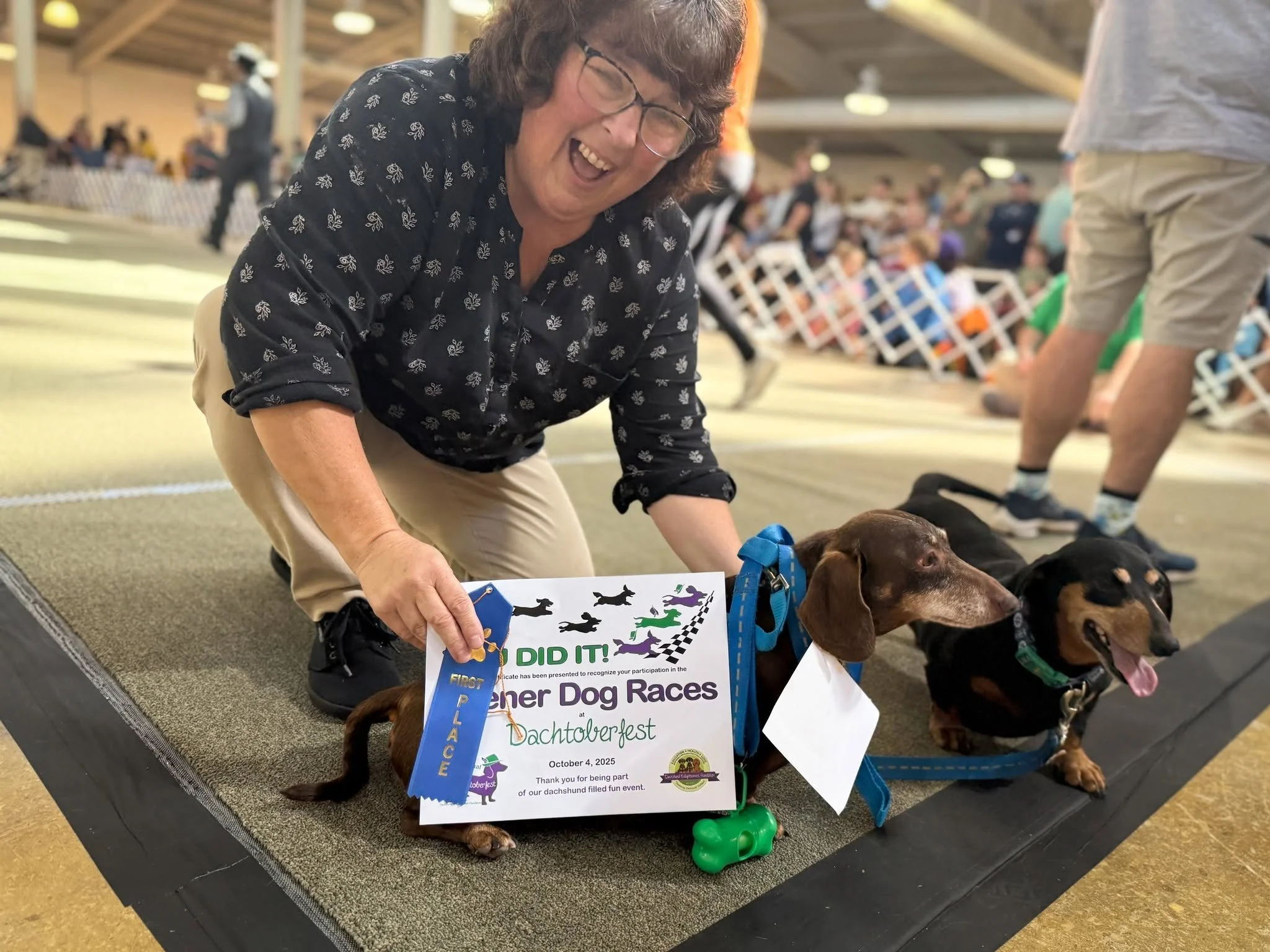 Dachtoberfest