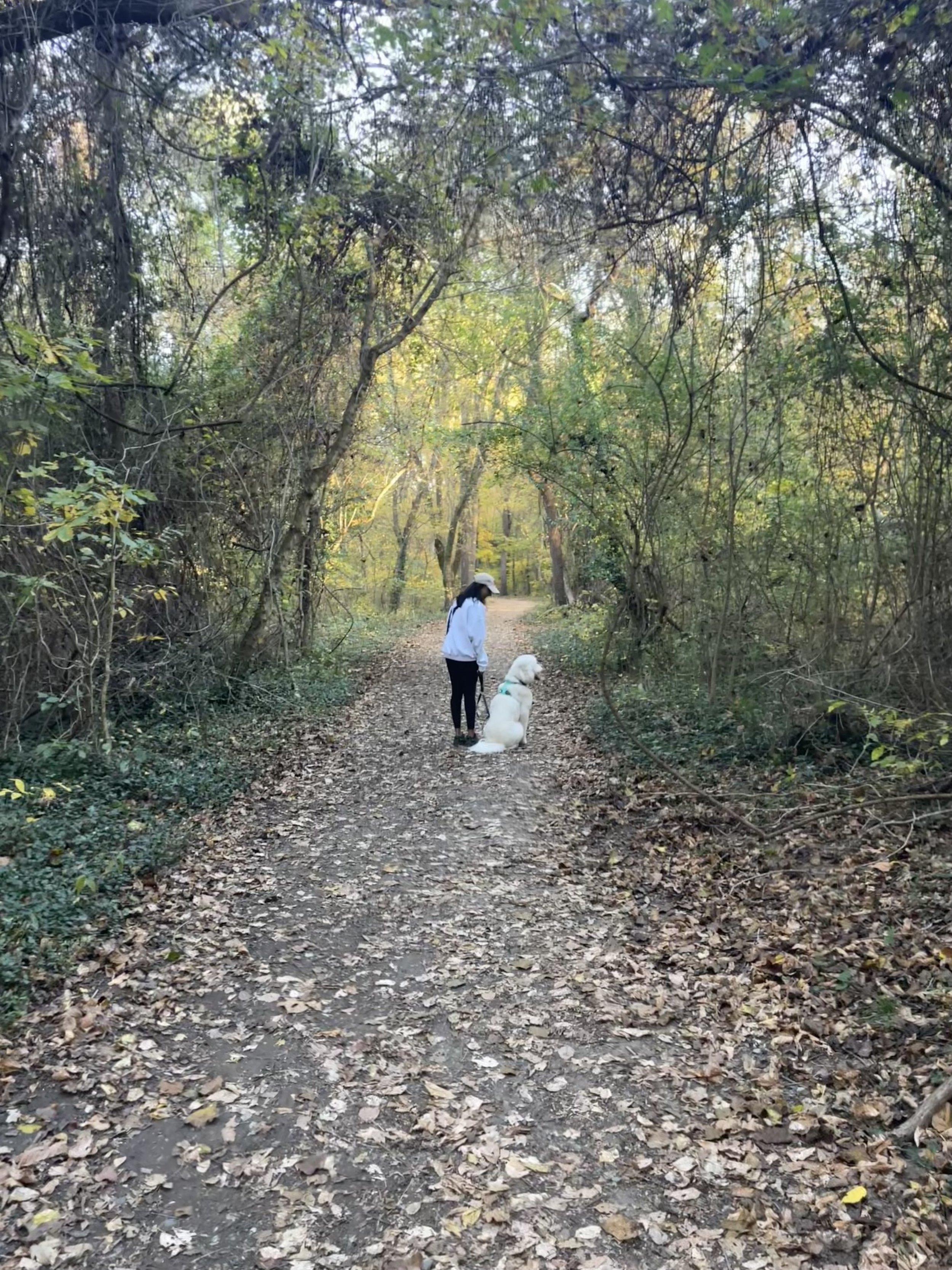 8 Beautiful Walks to Take Around Richmond