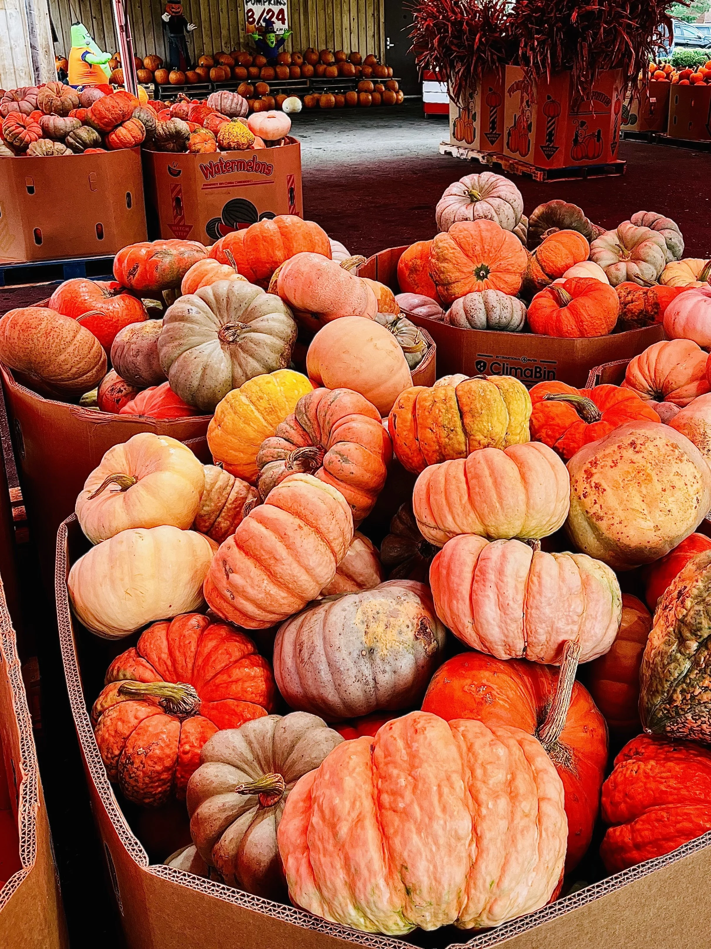15+ (More) Fall Bucket List Things To Do in Richmond