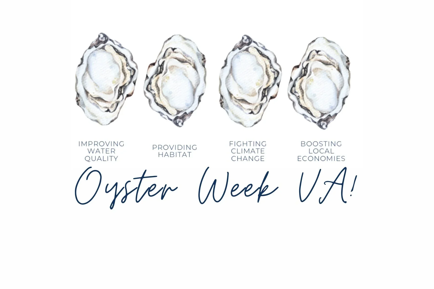 THE THIRD ANNUAL OYSTER WEEK!