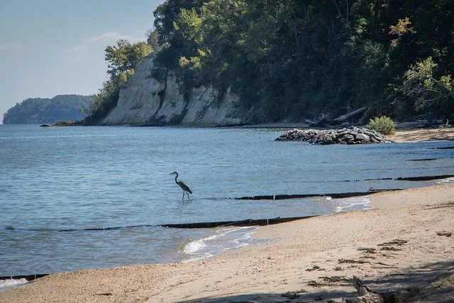 18 Fun Places to Explore Within 1.5 Hours of Richmond