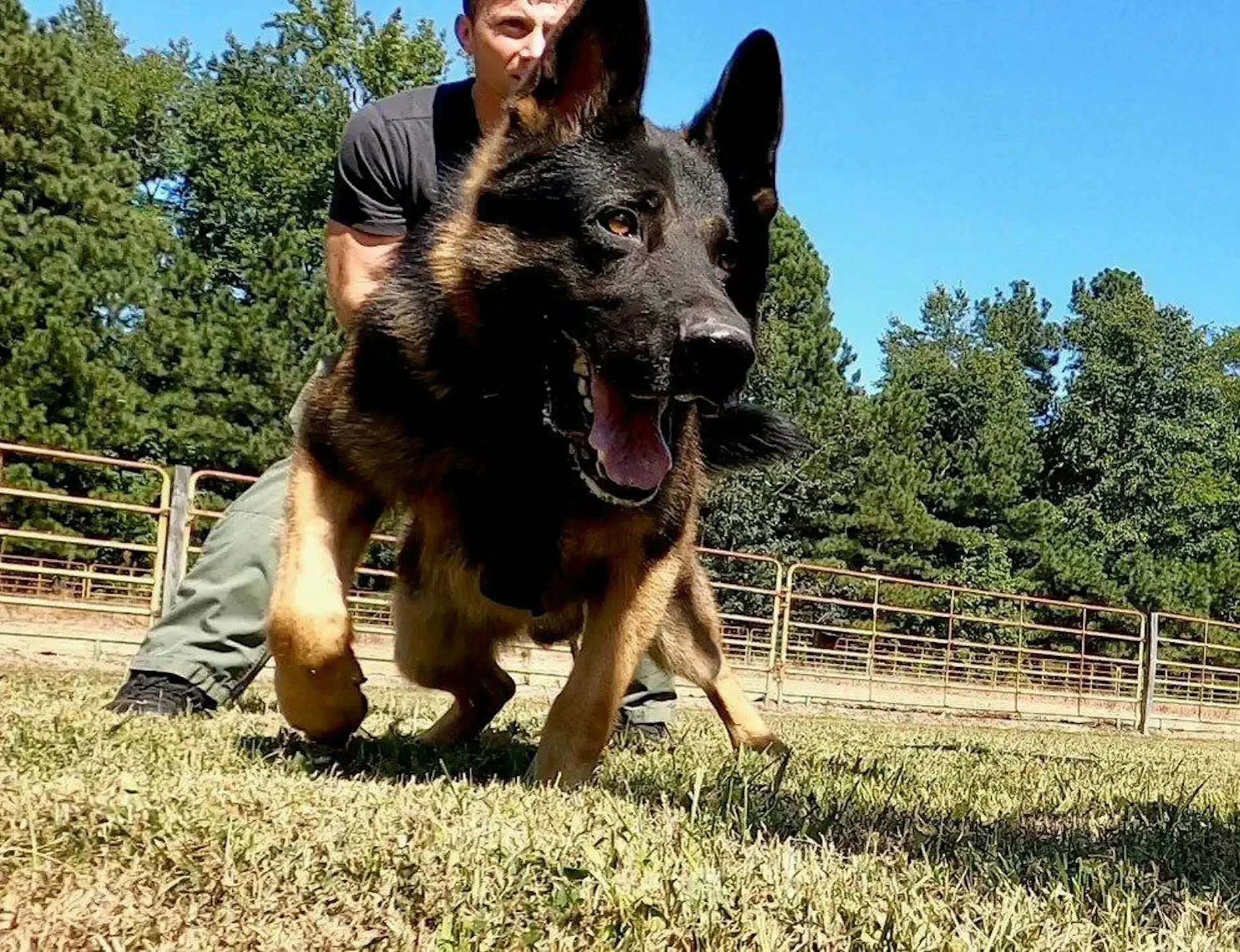 Commonwealth K-9 Classic