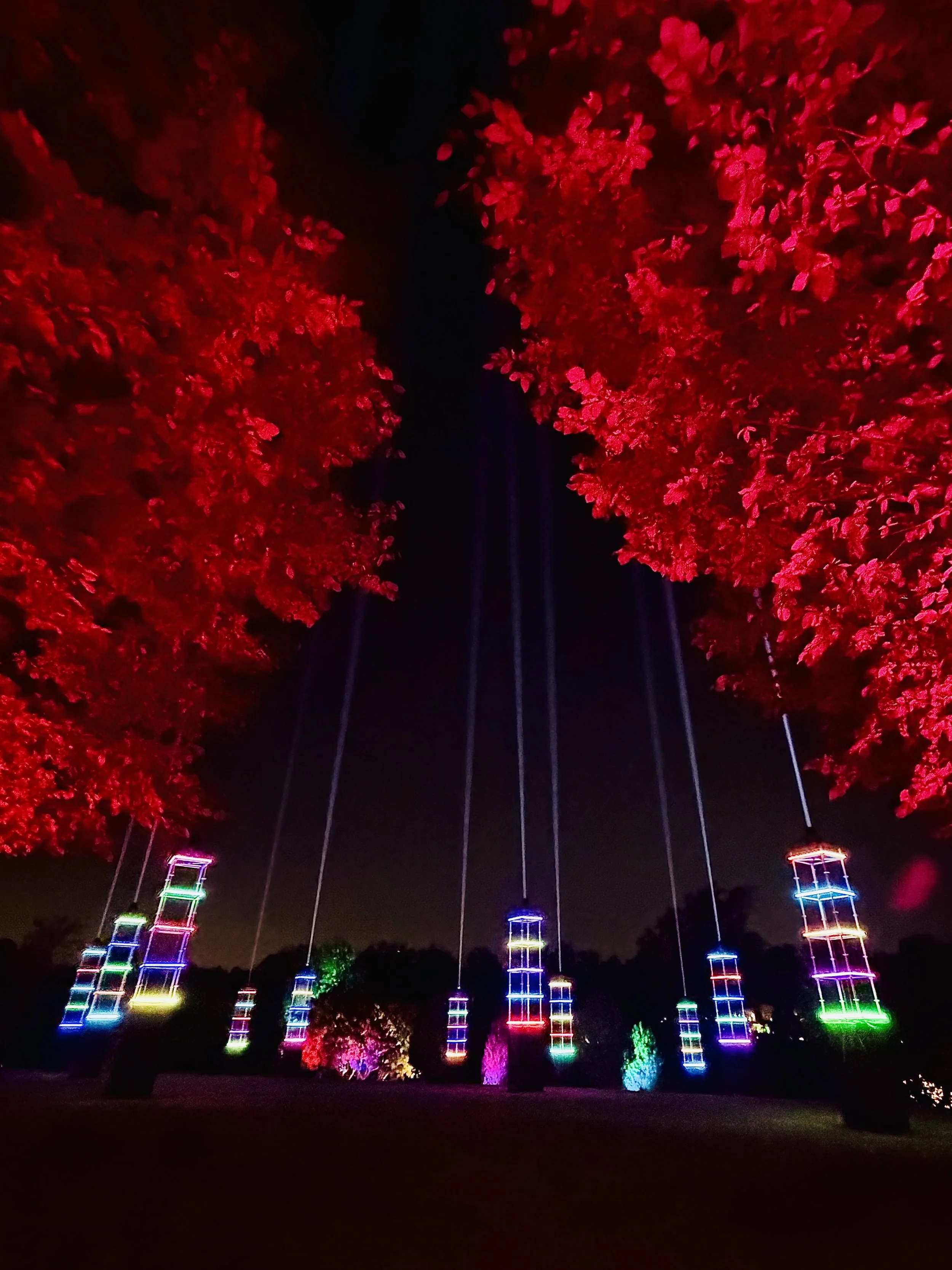 Ed 427: Garden Glow, Matchbox Twenty, Cirque de Paris