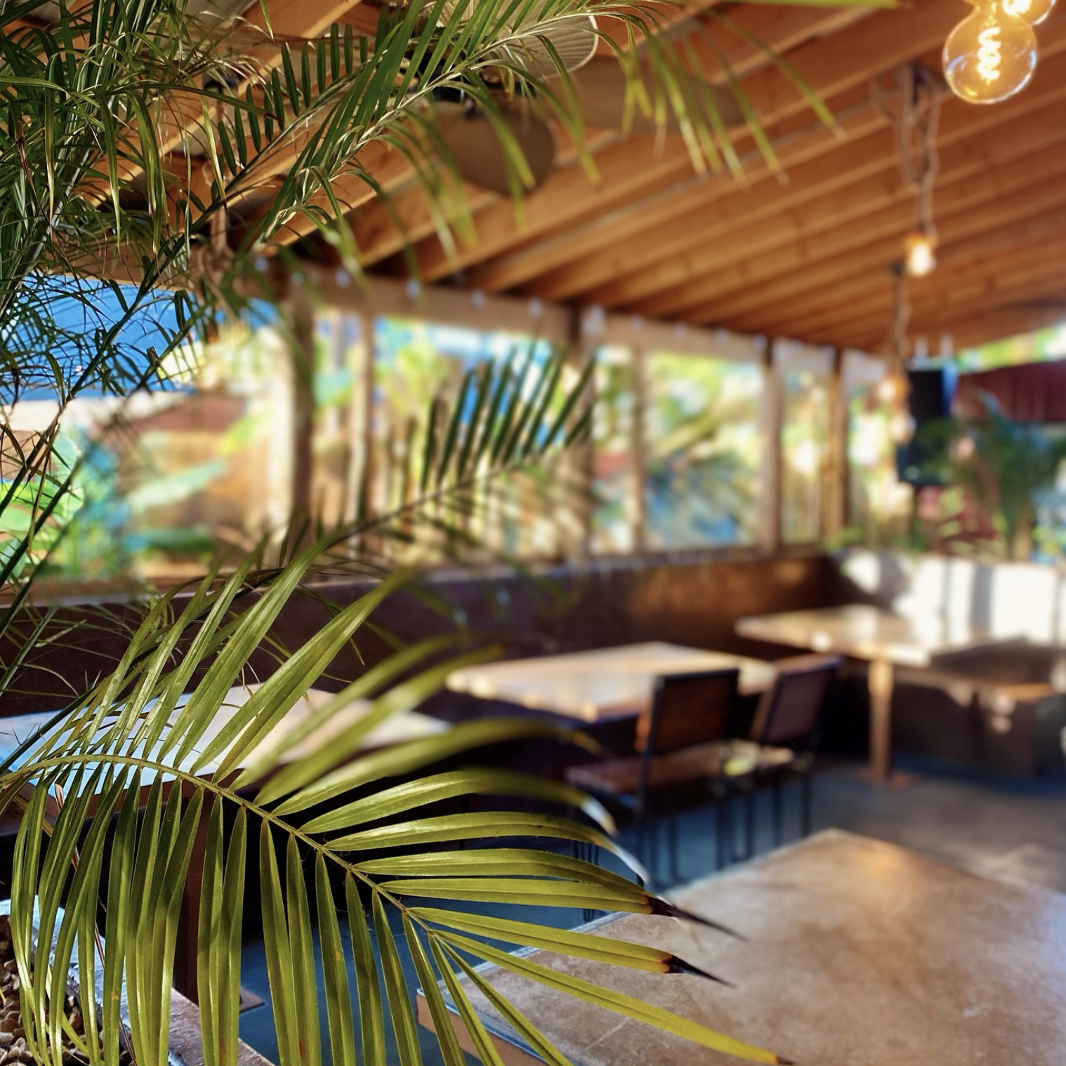 Richmond’s Covered, Heated Patios: A Neighborhood-by-Neighborhood List