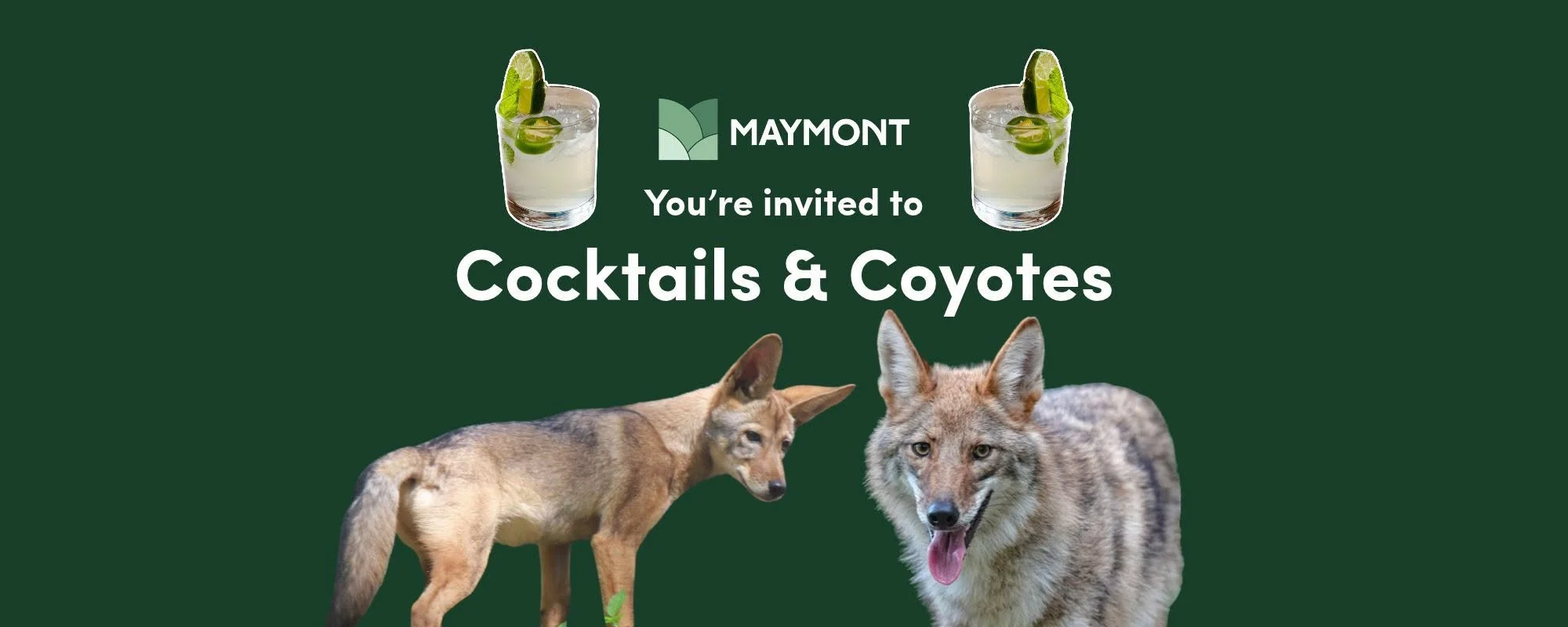 Cocktails &amp; Coyotes 
