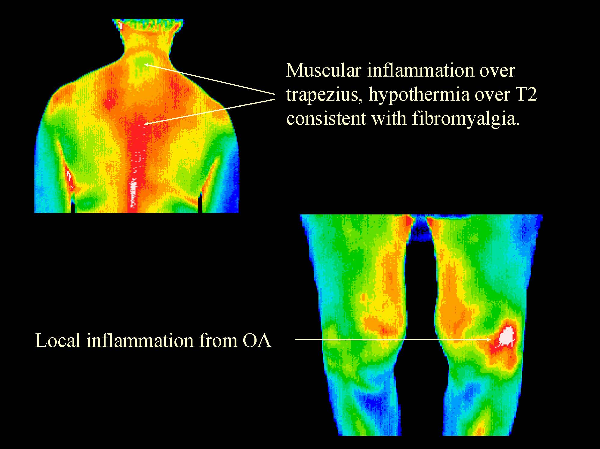 Conditions-and-Injuries_Page_11.jpg