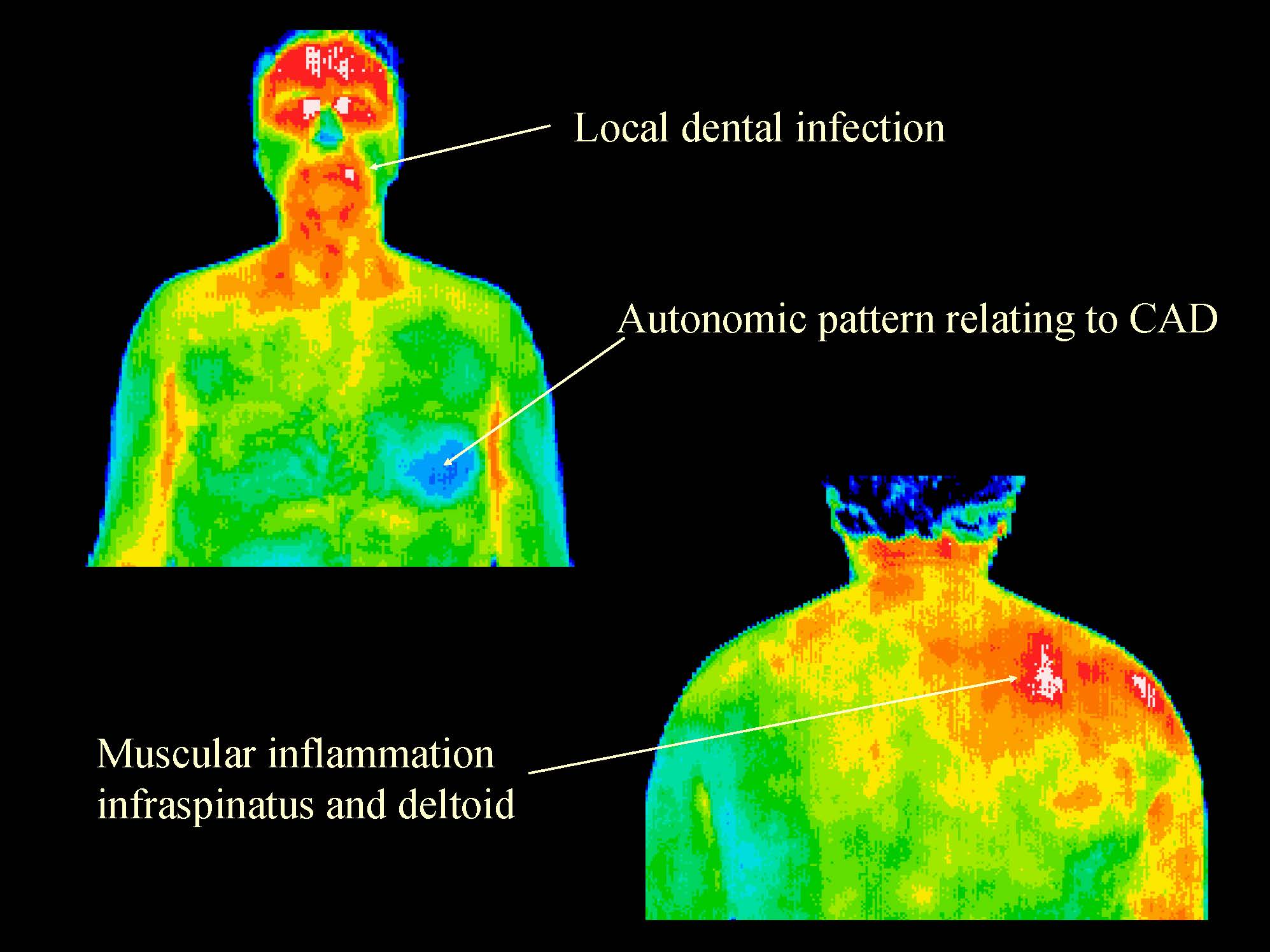 Conditions-and-Injuries_Page_03.jpg