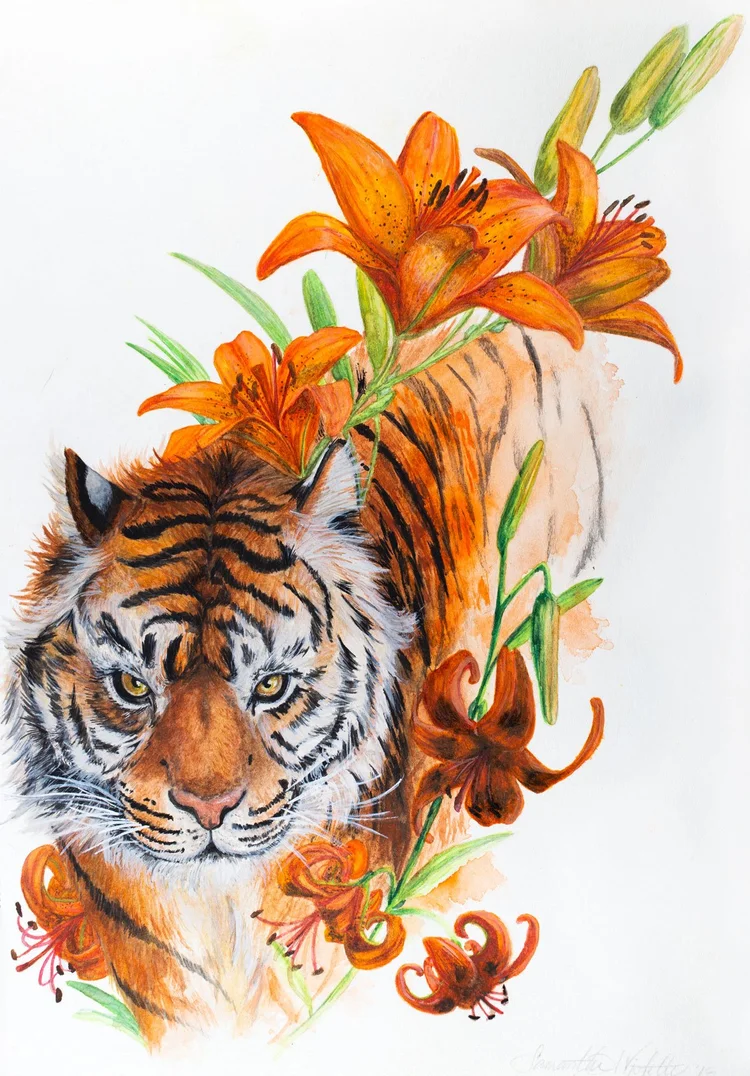 Tiger Lily Print  Samantha Ashley Violette