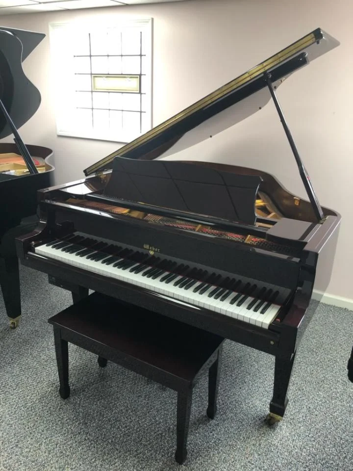 Weber Baby Grand Player 5'1"