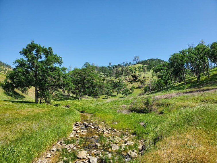 Our runner on the ground @werdrebmocam has been out on the Berryessa Peak Trail recently.  Here&rsquo;s his check in on this beautiful remote trail: 

&ldquo;Berryessa Peak. April 30
Feels very remote, pretty astonishing views and quite overgrown. De