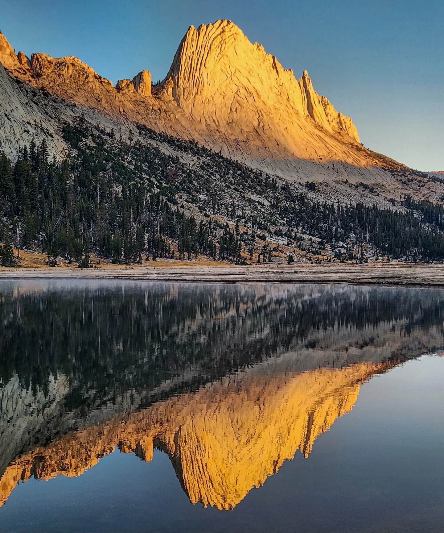 “I only went out for a walk and finally concluded to stay out till sundown, for going out, I found, was really going in.” -John Muir
Tuolumne High Country September 2025.
📷 @jebsphotos @cmksf