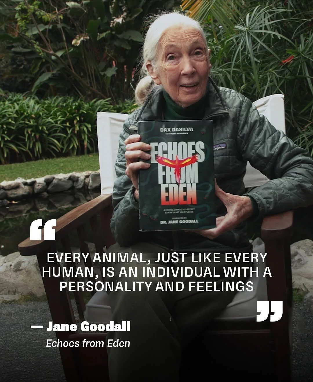 When I attended Irvine Valley College in Southern California, I took an anthropology course where I first learned about Dr. Jane Goodall and her groundbreaking discoveries in chimpanzee social cognition&mdash;work that redefined how we understand our